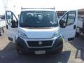 Fiat Ducato 2.3 mtj CASSONE FISSO 3,90 X 2,20 EURO 6 Blanc - thumbnail 3