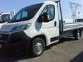 Fiat Ducato 2.3 mtj CASSONE FISSO 3,90 X 2,20 EURO 6 Weiß - thumbnail 20