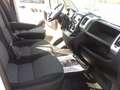 Fiat Ducato 2.3 mtj CASSONE FISSO 3,90 X 2,20 EURO 6 Blanc - thumbnail 11