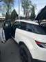 Land Rover Range Rover Evoque Pure Coupé Weiß - thumbnail 11