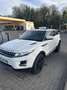 Land Rover Range Rover Evoque Pure Coupé Weiß - thumbnail 2