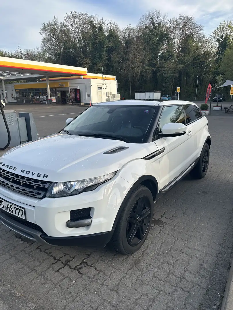 Land Rover Range Rover Evoque Pure Coupé Weiß - 2