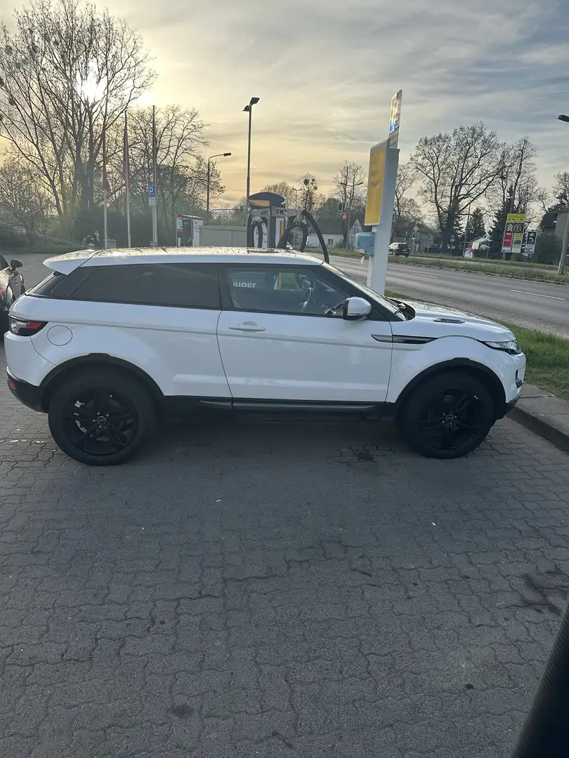 Land Rover Range Rover Evoque Pure Coupé Weiß - 1