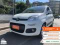 Fiat Panda Panda 1.3 MJT S&S Lounge Bianco - thumbnail 2