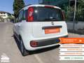 Fiat Panda Panda 1.3 MJT S&S Lounge Bianco - thumbnail 9