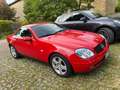 Mercedes-Benz SLK 200 SLK Roadster - R170 Rosso - thumbnail 5