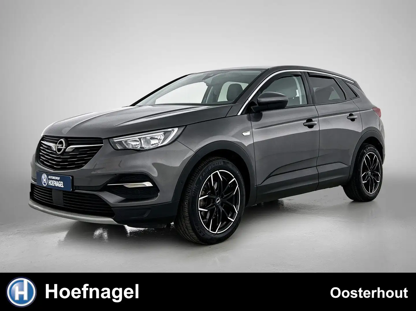 Opel Grandland X 1.2 Turbo Business Executive Automaat | Trekhaak | Grijs - 1