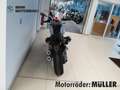 BMW R nineT 12, Komfort-Paket, Digital Display, DWA, Grün - thumbnail 8