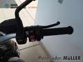 BMW R nineT 12, Komfort-Paket, Digital Display, DWA, Grün - thumbnail 15