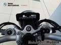 BMW R nineT 12, Komfort-Paket, Digital Display, DWA, Grün - thumbnail 16