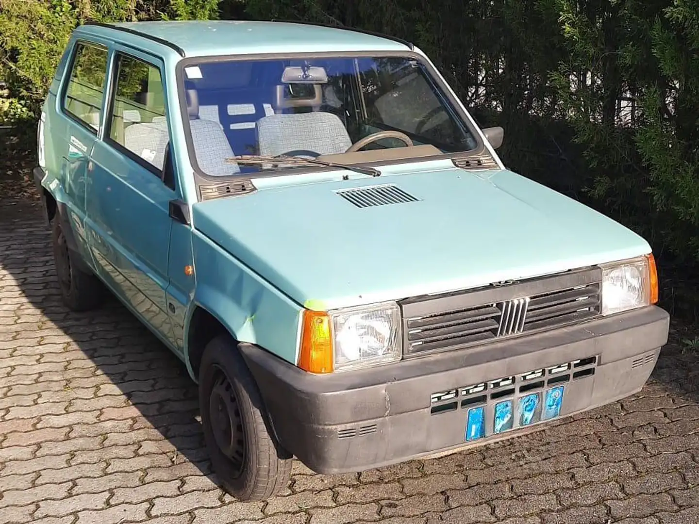 Fiat Panda Vert - 1