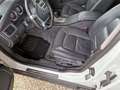 Volvo XC70 XC70 D5 Kinetic AWD Geartronic Aut. Kinetic Weiß - thumbnail 8