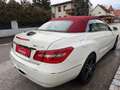Mercedes-Benz E 220 CDI BlueEfficiency Aut.*Nur 42.000km* Weiß - thumbnail 8