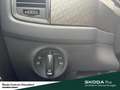 Skoda Kodiaq Style 4x4 DSG AHK Kamerasystem 360 Fahrassistenz-P Zilver - thumbnail 20