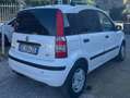 Fiat Panda Panda II 2006 1.1 Active Wit - thumbnail 7