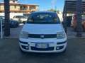 Fiat Panda Panda II 2006 1.1 Active Wit - thumbnail 1