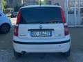 Fiat Panda Panda II 2006 1.1 Active Wit - thumbnail 8