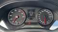 SEAT Ibiza 1,0 Eco TSI Xcellence Grau - thumbnail 13