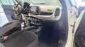 Fiat 500L Cross 1.3 M-JET 95 CV my20 Bianco - thumbnail 15