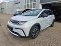 BYD Dolphin 60,4 kWh Comfort Österreich Paket Bianco - thumbnail 2