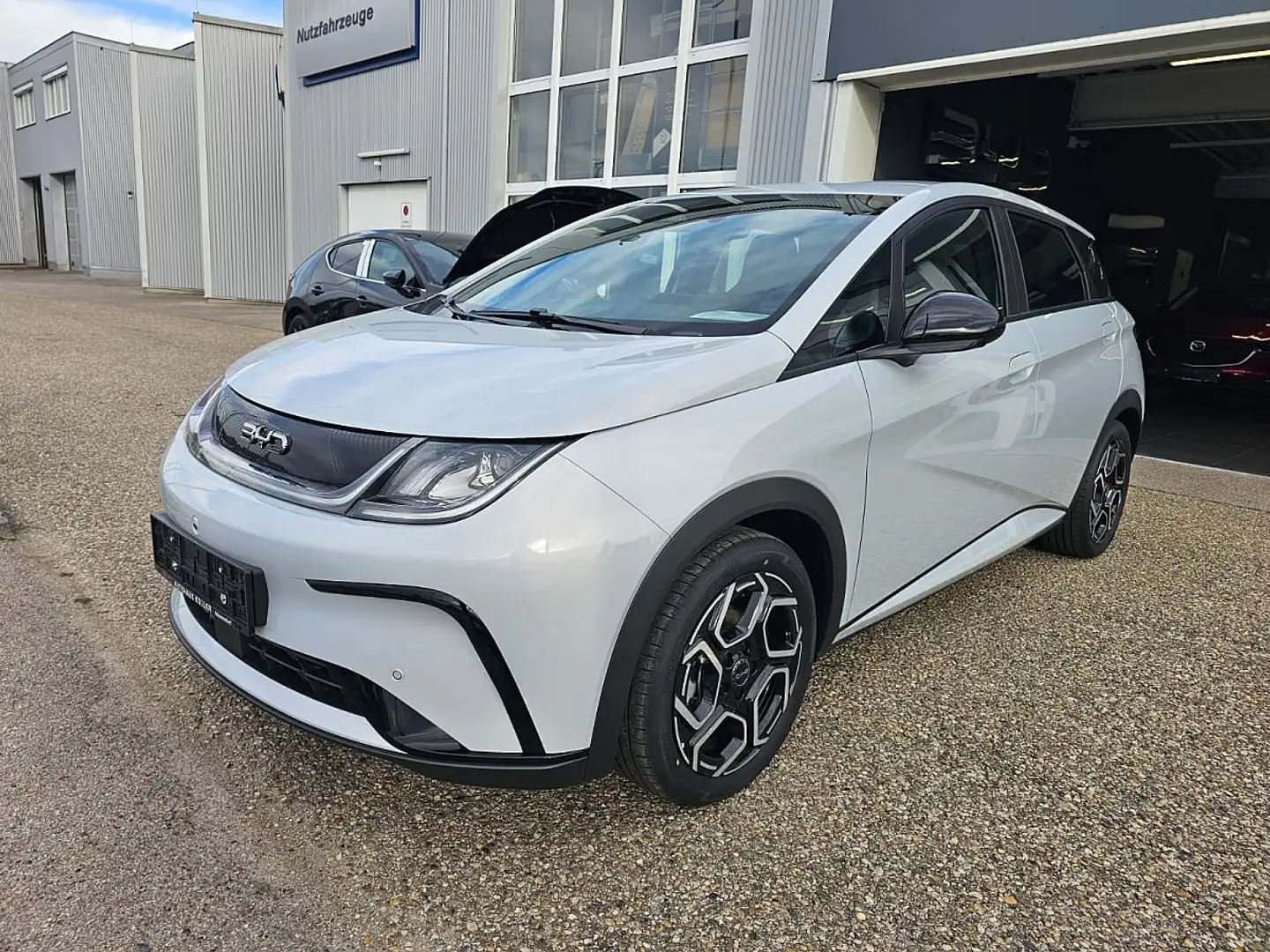 BYD Dolphin 60,4 kWh Comfort Österreich Paket Bianco - 2