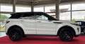 Land Rover Range Rover Evoque 2.2 SD4 Dynamic PANO LEDER RFK Blanco - thumbnail 2