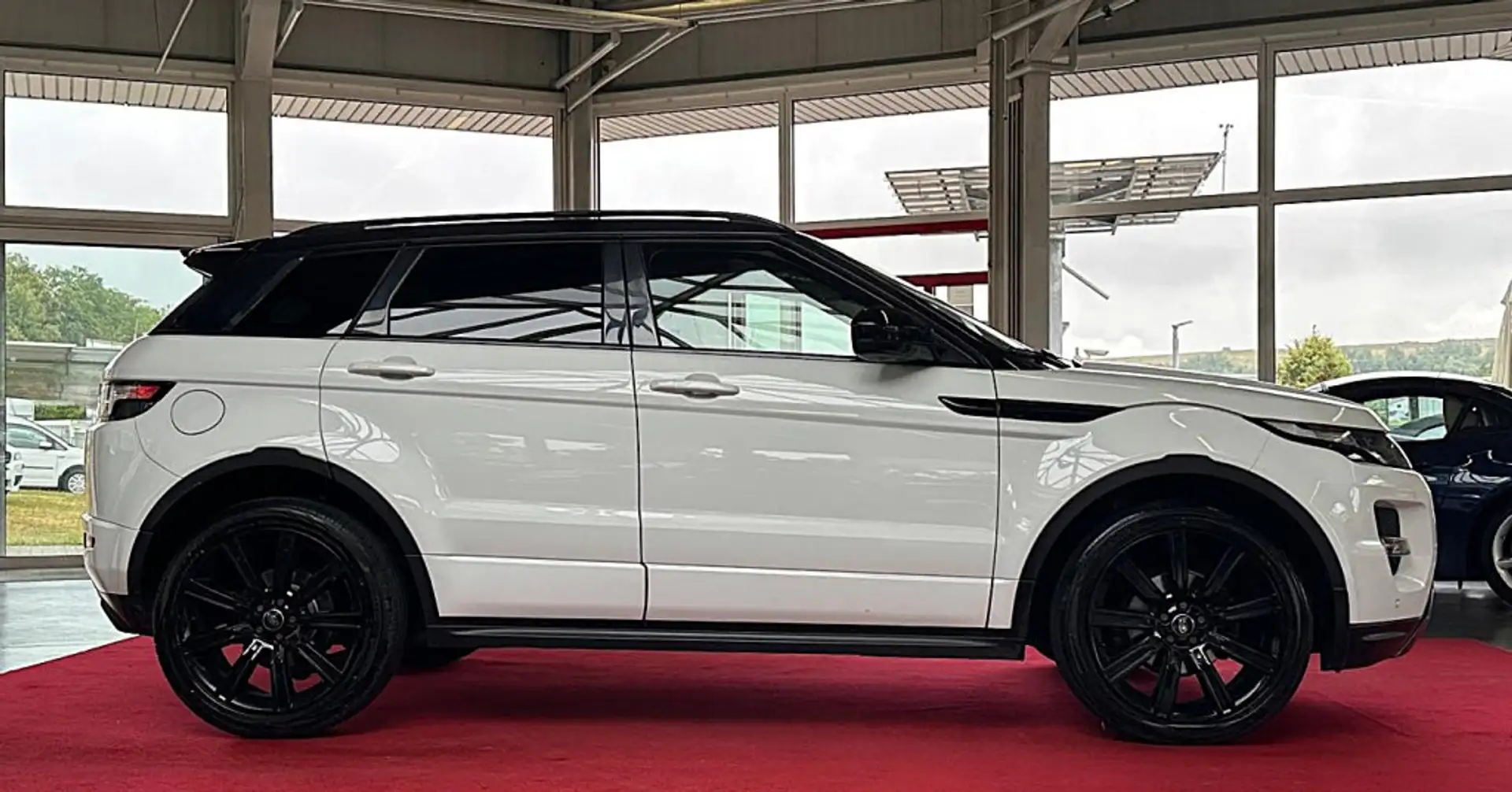 Land Rover Range Rover Evoque 2.2 SD4 Dynamic PANO LEDER RFK Blanco - 2