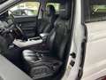 Land Rover Range Rover Evoque 2.2 SD4 Dynamic PANO LEDER RFK Blanco - thumbnail 16