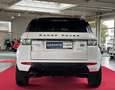 Land Rover Range Rover Evoque 2.2 SD4 Dynamic PANO LEDER RFK Blanco - thumbnail 6