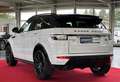 Land Rover Range Rover Evoque 2.2 SD4 Dynamic PANO LEDER RFK Blanco - thumbnail 5