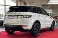 Land Rover Range Rover Evoque 2.2 SD4 Dynamic PANO LEDER RFK Blanco - thumbnail 7