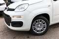 Fiat Panda MHEV 5"-DAB 5-Sitzer PDC DigCo LaneA Temp 51 kW... Weiß - thumbnail 5