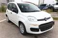 Fiat Panda MHEV 5"-DAB 5-Sitzer PDC DigCo LaneA Temp 51 kW... Weiß - thumbnail 2