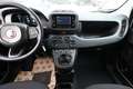 Fiat Panda MHEV 5"-DAB 5-Sitzer PDC DigCo LaneA Temp 51 kW... Weiß - thumbnail 8