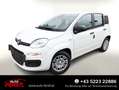 Fiat Panda MHEV 5"-DAB 5-Sitzer PDC DigCo LaneA Temp 51 kW... Weiß - thumbnail 1