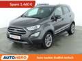 Ford EcoSport 1.0 EcoBoost Titanium*NAVI*PDC*SHZ*PANO*KLIMA* Grau - thumbnail 1