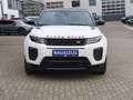Land Rover Range Rover Evoque Cabrio TD4 HSE Dynamic Weiß - thumbnail 3