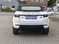 Land Rover Range Rover Evoque Cabrio TD4 HSE Dynamic Blanc - thumbnail 6