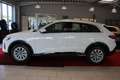 Audi Q5 2.0 TDI QUATTRO NEW MODEL White - thumbnail 2
