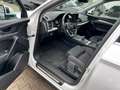 Audi Q5 40 TDI quattro Sport Aut. Matrix Kamera AHK Blanco - thumbnail 31