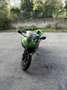 Kawasaki Ninja 300 krt edition Verde - thumbnail 1