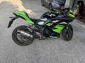 Kawasaki Ninja 300 krt edition Verde - thumbnail 5