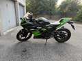 Kawasaki Ninja 300 krt edition Verde - thumbnail 2