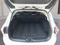 Ford Focus Traveller 1,5 Diesel EcoBlue Titanium Automatik Weiß - thumbnail 11