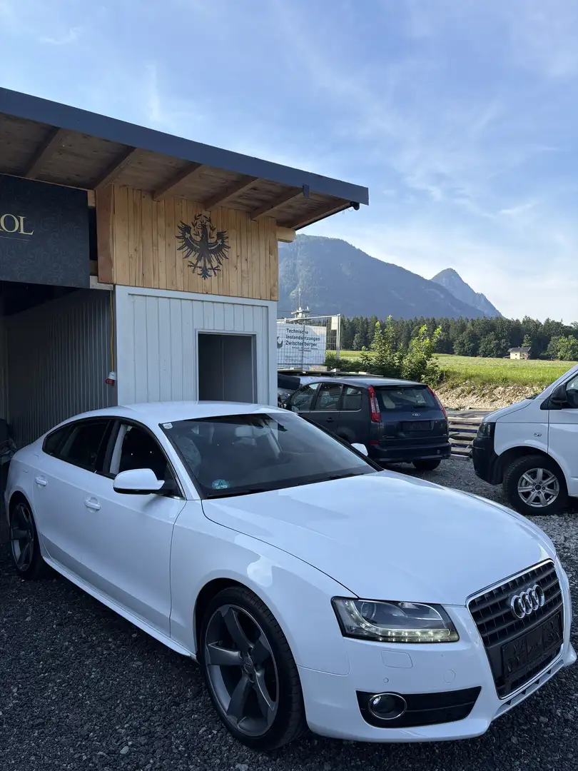 Audi A5 SB 2,0 TDI DPF Aut. Blanc - 2