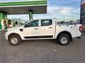 Ford Ranger 2.0 Ecoblue S&S DCb. XL 4x4 170 Bianco - thumbnail 9