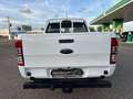 Ford Ranger 2.0 Ecoblue S&S DCb. XL 4x4 170 Bianco - thumbnail 7