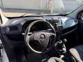 Opel Combo D 1.3 CDTI Kasten L1H1 2,4t TÜV 2026 Weiß - thumbnail 7