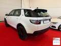 Land Rover Discovery Sport 2.0 td4 HSE Luxury awd 150cv auto Blanc - thumbnail 6