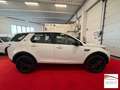 Land Rover Discovery Sport 2.0 td4 HSE Luxury awd 150cv auto Blanc - thumbnail 16